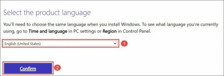 select Windows 11 22H2 ISO language
